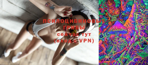 а пвп мука Алзамай