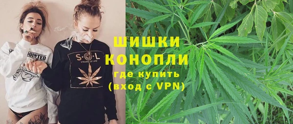 PSILOCYBIN Алексин