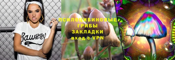 а пвп мука Алзамай
