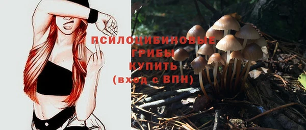 а пвп мука Алзамай